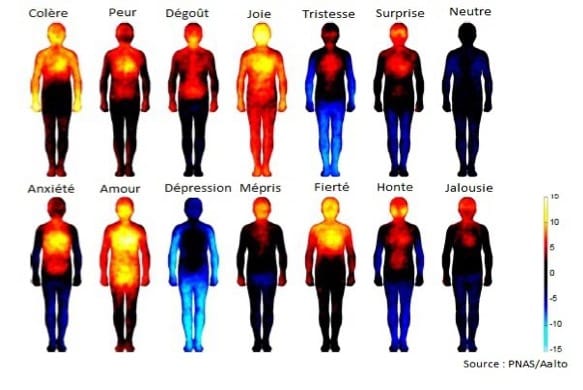les types d'émotions